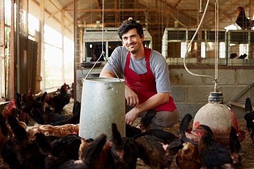 Poultry Farm Worker Job in Canada